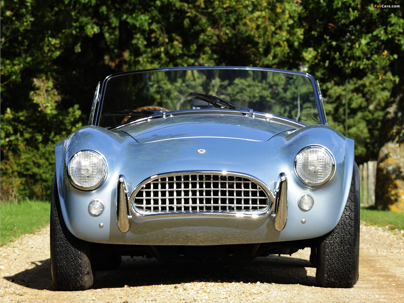 Pictures of AC Cobra MkII (1963–1965) (1600 x 1200)
