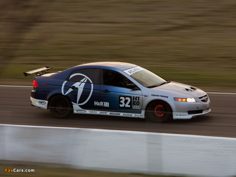 Acura TL Race Car (2004–2007) pictures (800 x 600)