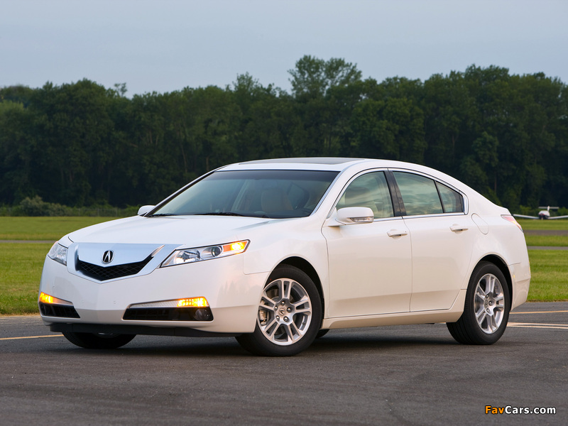 Acura TL (2008–2011) pictures (800 x 600)