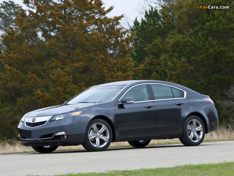 Acura TL SH-AWD (2011) images (800 x 600)