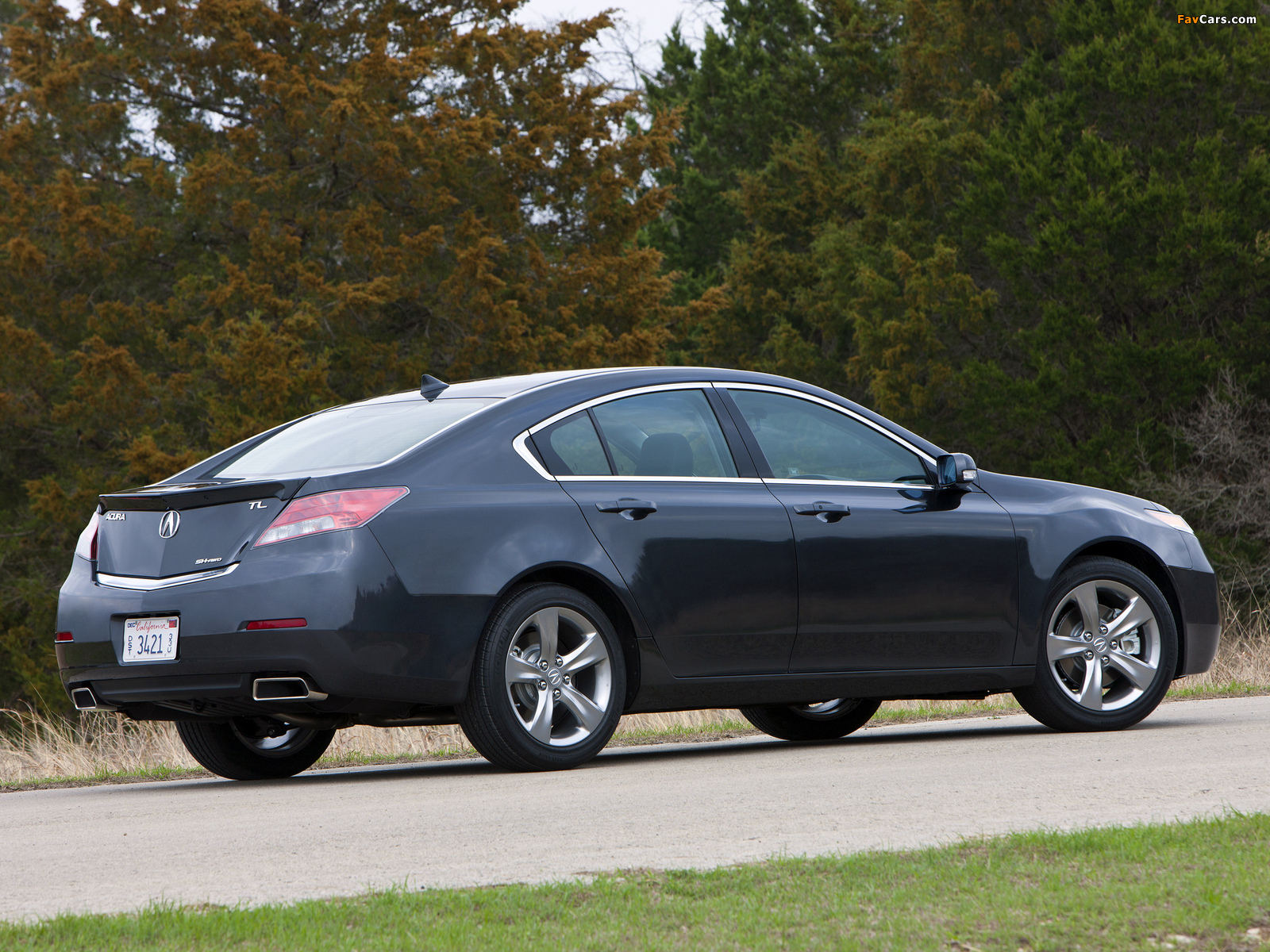 Acura TL SH-AWD (2011) photos (1600 x 1200)