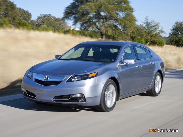 Acura TL (2011) pictures (640 x 480)