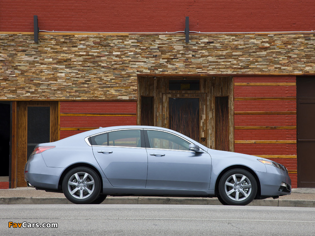 Acura TL (2011) pictures (640 x 480)