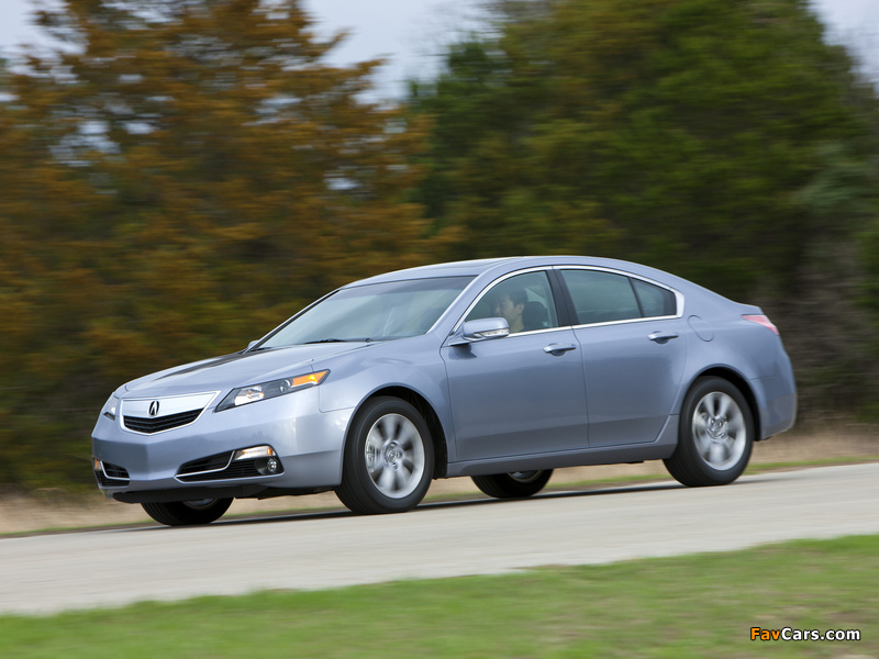 Images of Acura TL (2011) (800 x 600)