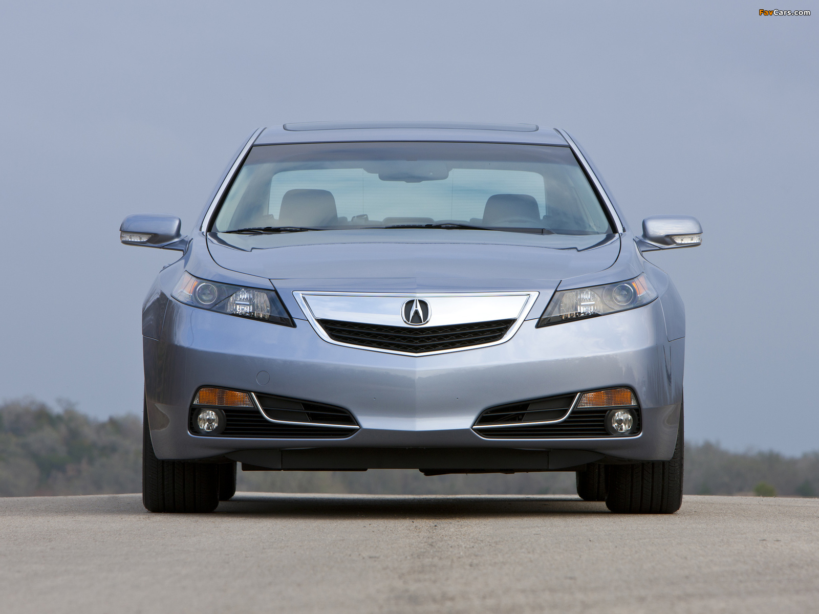 Images of Acura TL (2011) (1600 x 1200)
