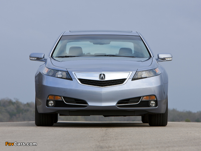 Images of Acura TL (2011) (640 x 480)