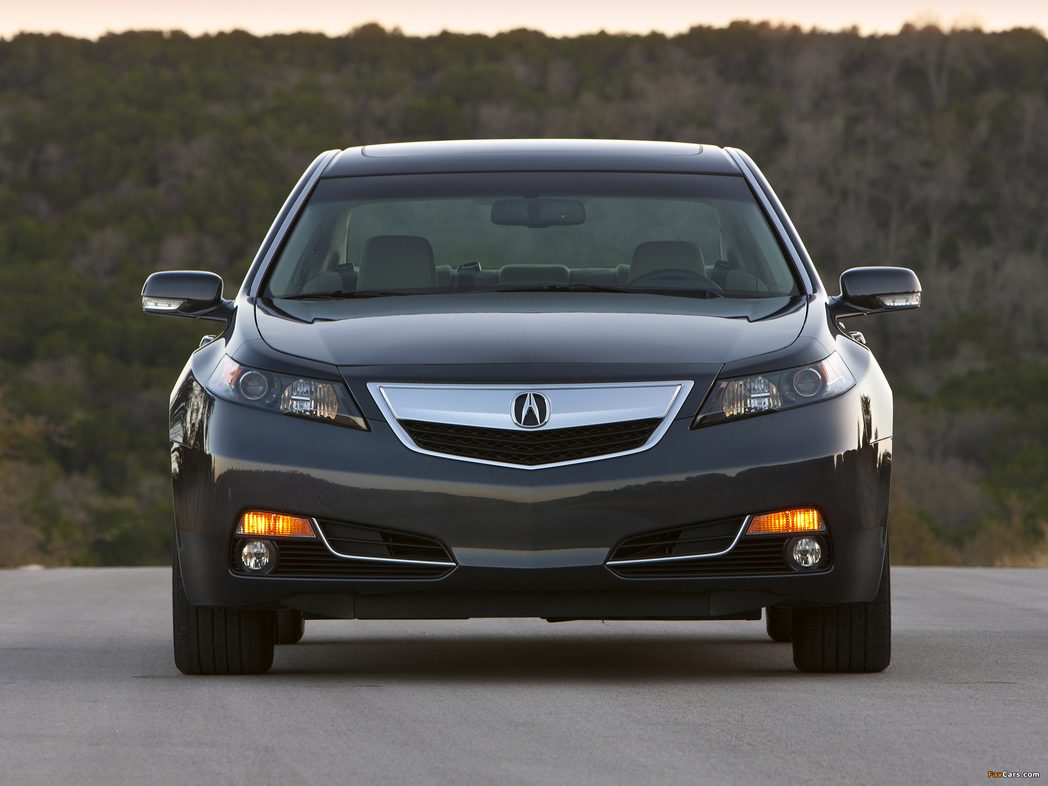 Images of Acura TL SH-AWD (2011) (2048 x 1536)