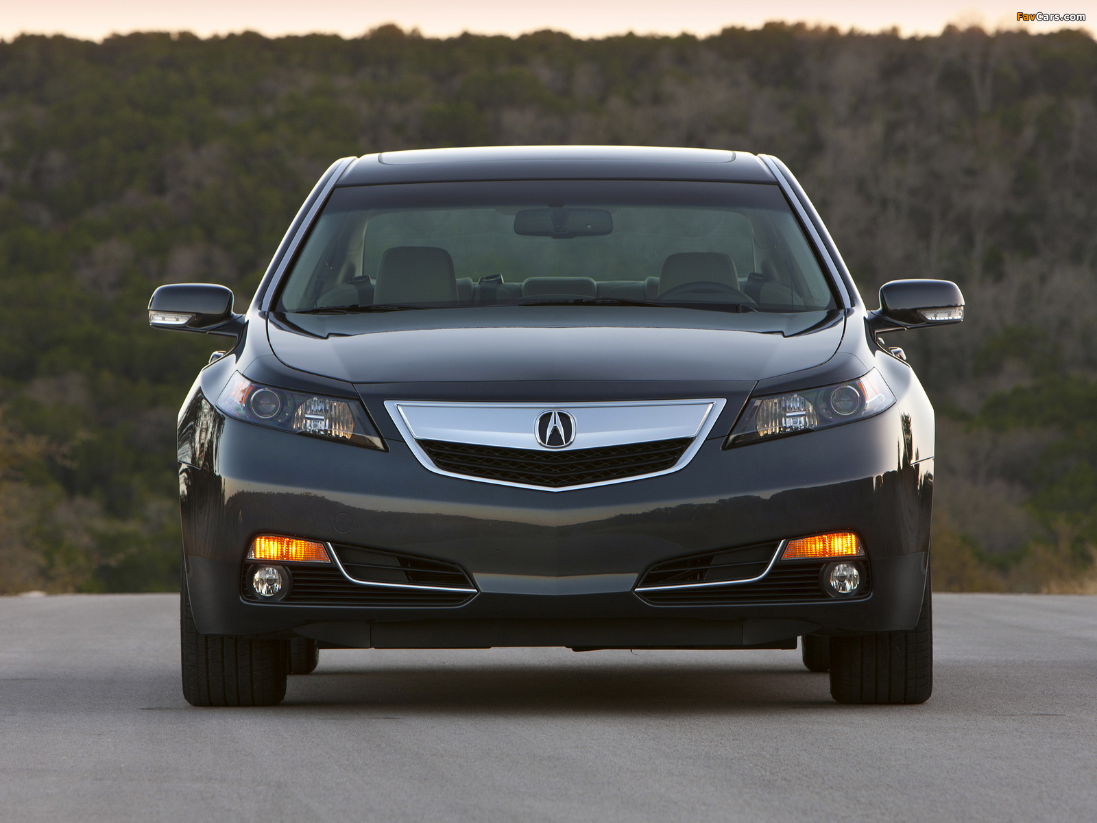 Images of Acura TL SH-AWD (2011) (1600 x 1200)