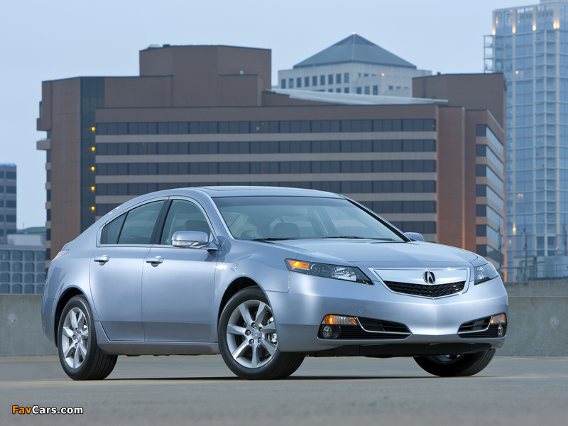 Pictures of Acura TL (2011) (800 x 600)