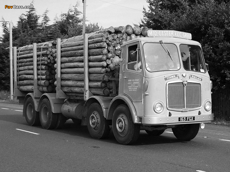 AEC Mammoth Major 8 MkV Timber Truck G8RA (1959–1966) photos (800 x 600)