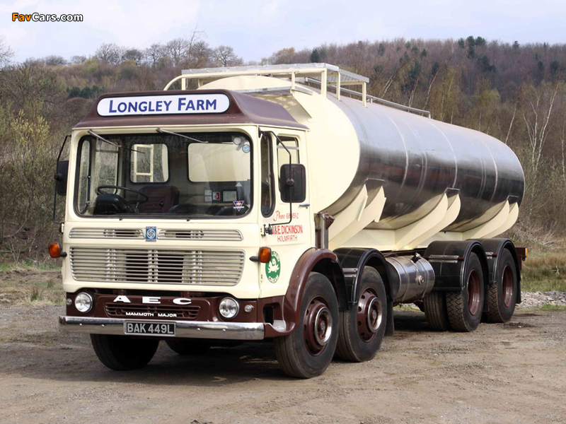 AEC Mammoth Major Tanker TG8 (1965–1978) pictures (800 x 600)