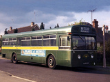 Swift AEC SM (1970–1972) images