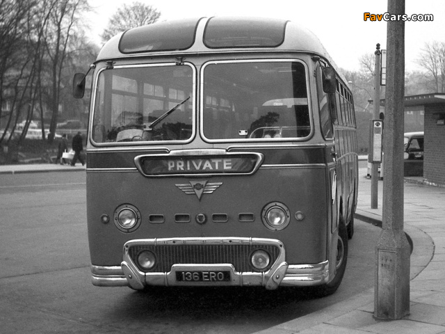 Pictures of AEC Reliance Duple Britannia C41F (1958) (640 x 480)