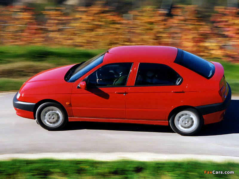 Alfa Romeo 146 930B (1995–1999) photos (800 x 600)