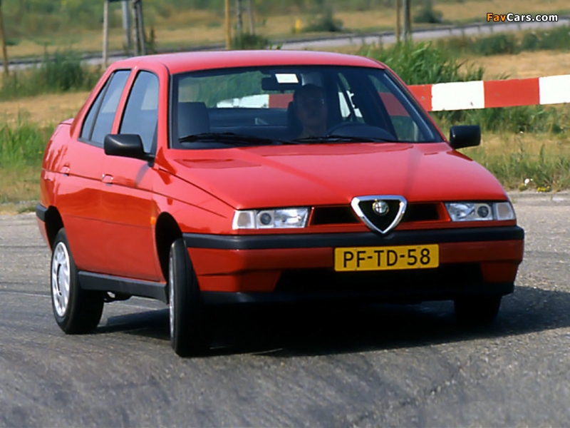 Images of Alfa Romeo 155 167 (1995–1997) (800 x 600)