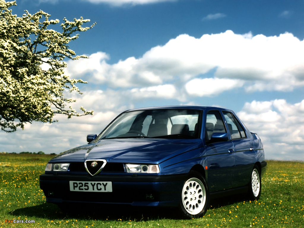 Alfa Romeo 155 UK-spec 167 (1995–1997) wallpapers (1024 x 768)