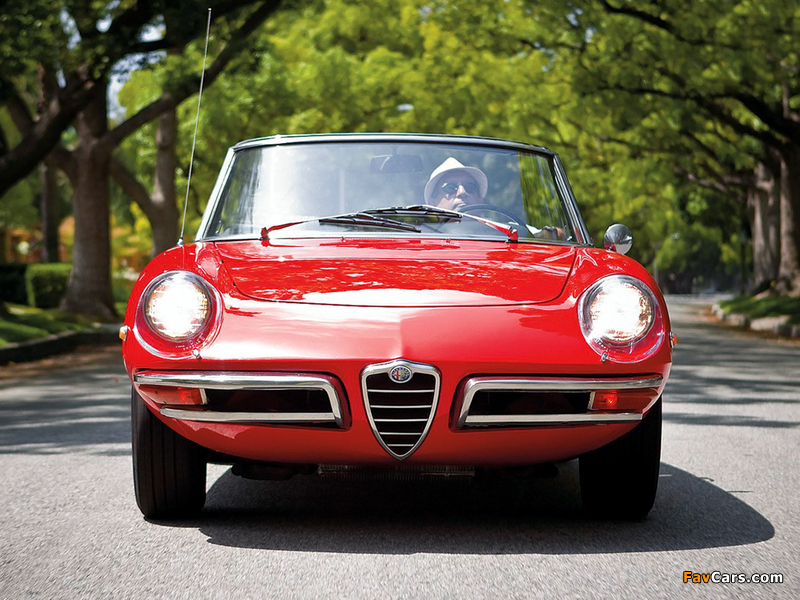Alfa Romeo 1750 Spider Veloce US-spec 105 (1968–1969) pictures (800 x 600)