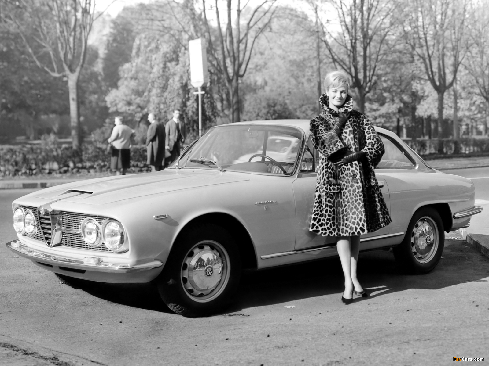 Alfa Romeo 2600 Sprint 106 (1962–1966) pictures (1600 x 1200)