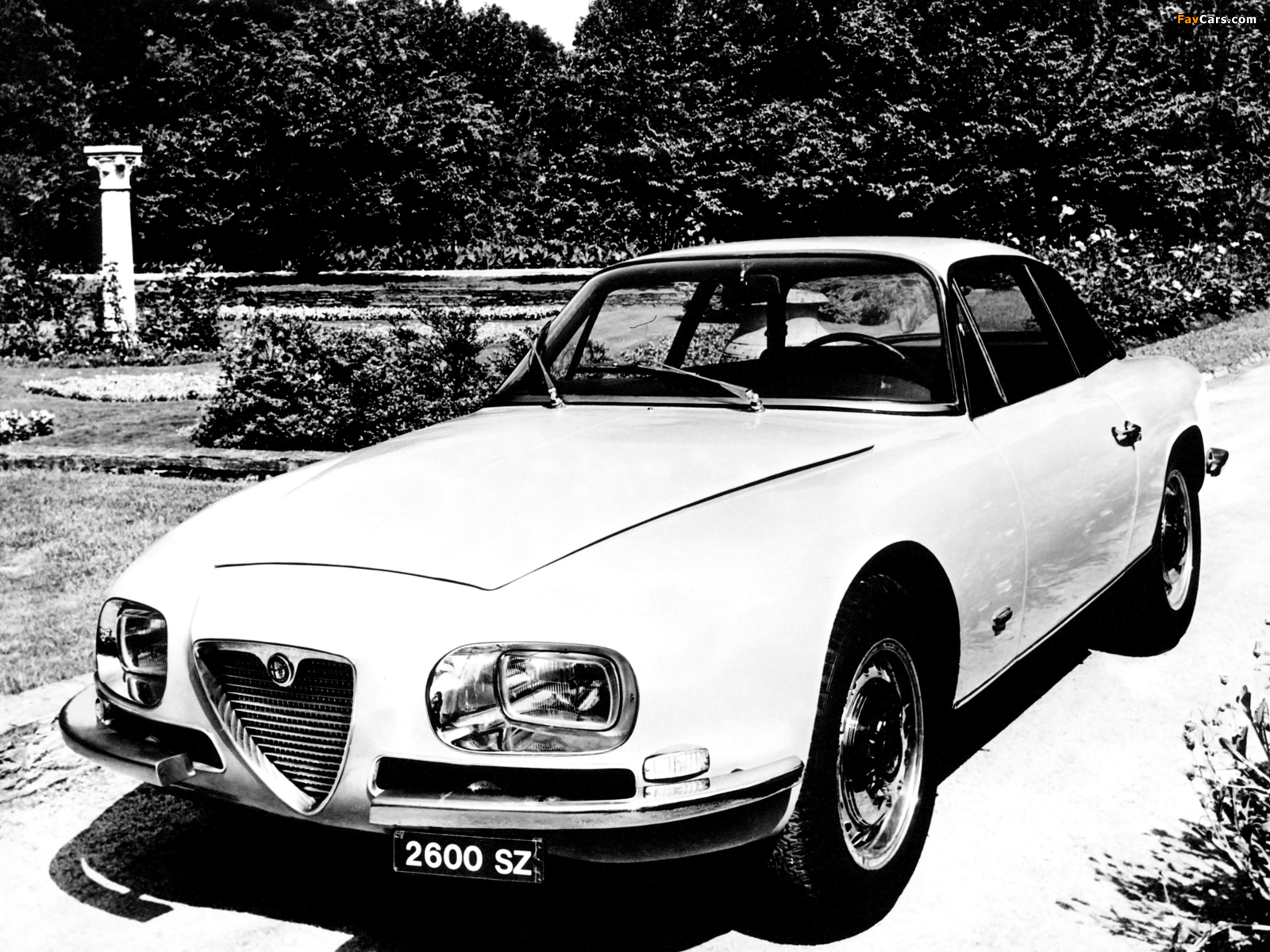 Photos of Alfa Romeo 2600 SZ 106 (1965–1967) (1600 x 1200)