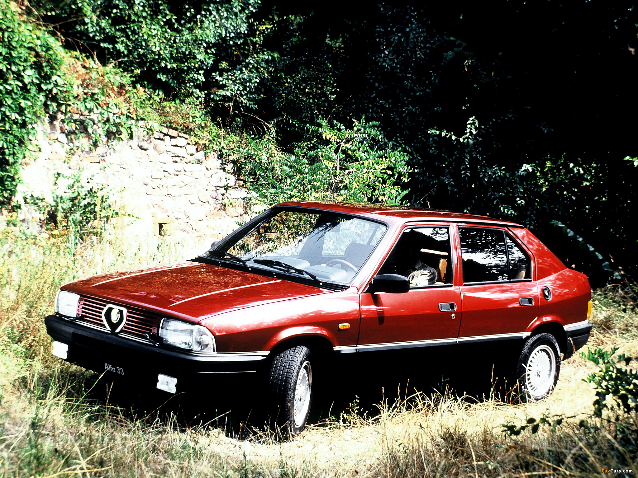 Alfa Romeo 33 1.5 4x4 905 (1984–1986) pictures (2048 x 1536)