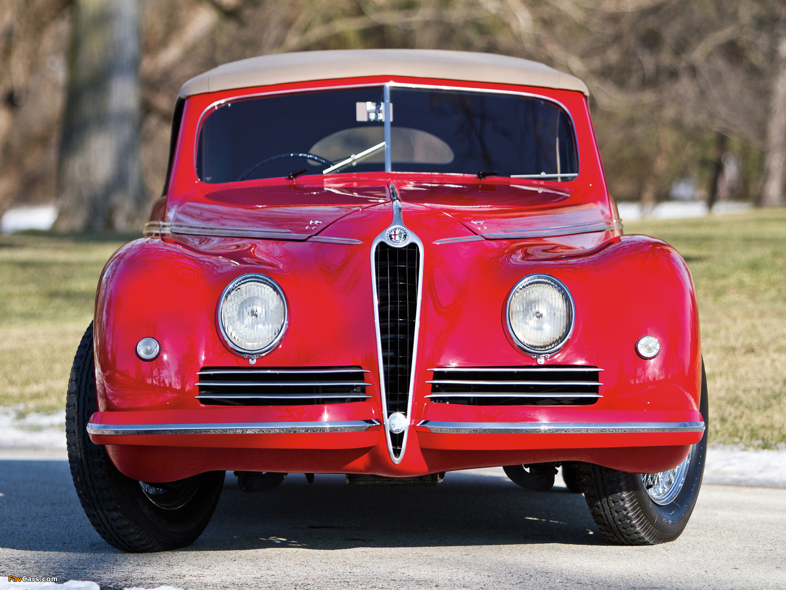 Alfa Romeo 6C 2500 Sport Cabriolet (1942) pictures (1600 x 1200)