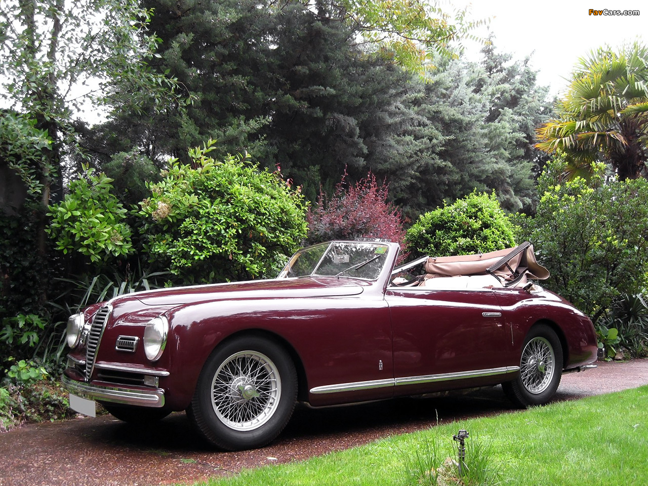 Alfa Romeo 6C 2500 Sport Cabriolet (1948–1951) photos (1280 x 960)