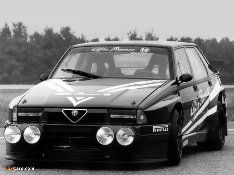 Alfa Romeo 75 Turbo Evoluzione IMSA 162B (1988–1989) pictures (800 x 600)