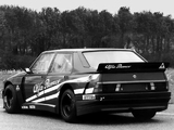 Pictures of Alfa Romeo 75 Turbo Evoluzione IMSA 162B (1988–1989)