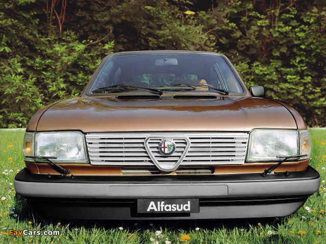 Alfa Romeo Alfasud Quadrifoglio Oro 901 (1982–1983) images (640 x 480)