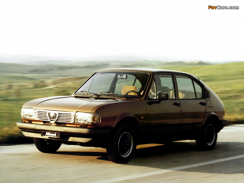 Alfa Romeo Alfasud Quadrifoglio Oro 901 (1982–1983) pictures (800 x 600)