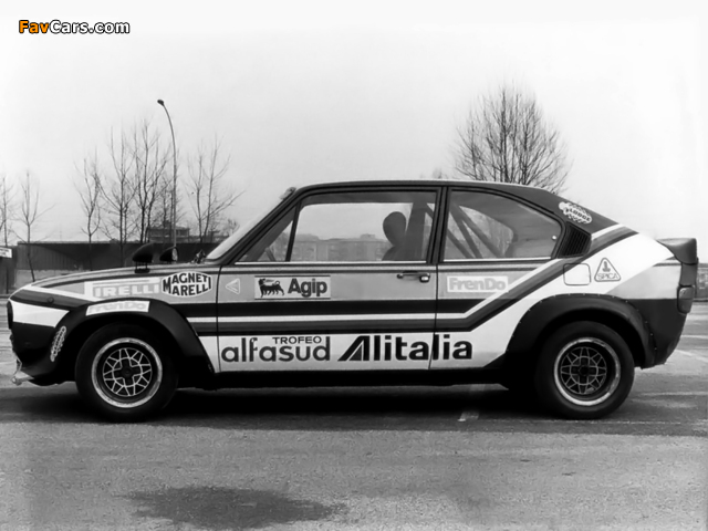 Photos of Alfa Romeo Alfasud ti Trofeo 901 (1976–1979) (640 x 480)