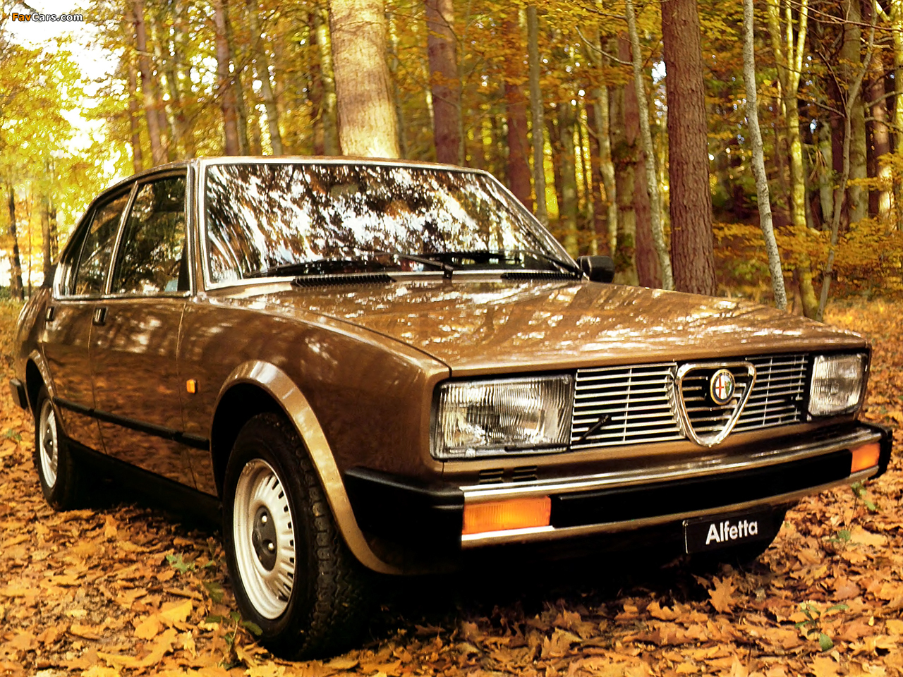 Images of Alfa Romeo Alfetta 116 (1981–1983) (1280 x 960)