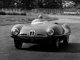 Pictures of Alfa Romeo 1900 C52 Disco Volante Spider 1359 (1952)