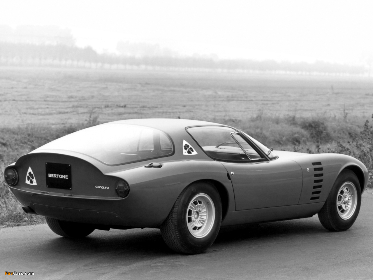 Alfa Romeo Canguro Concept (1964) images (1280 x 960)