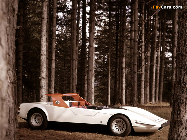 Alfa Romeo P33 Roadster (1968) photos (640 x 480)