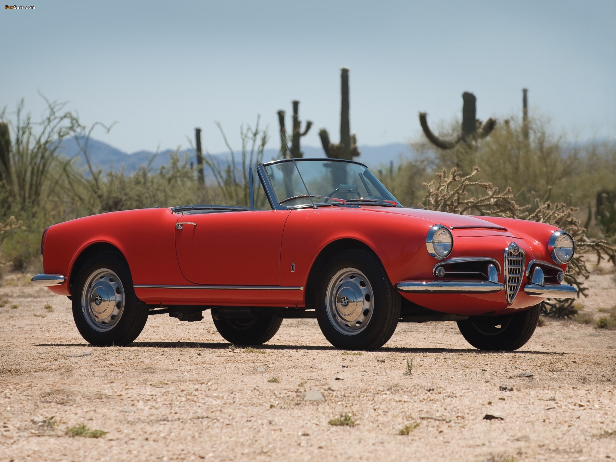 Alfa Romeo Giulia 1600 Spider 101 (1962–1965) photos (2048 x 1536)