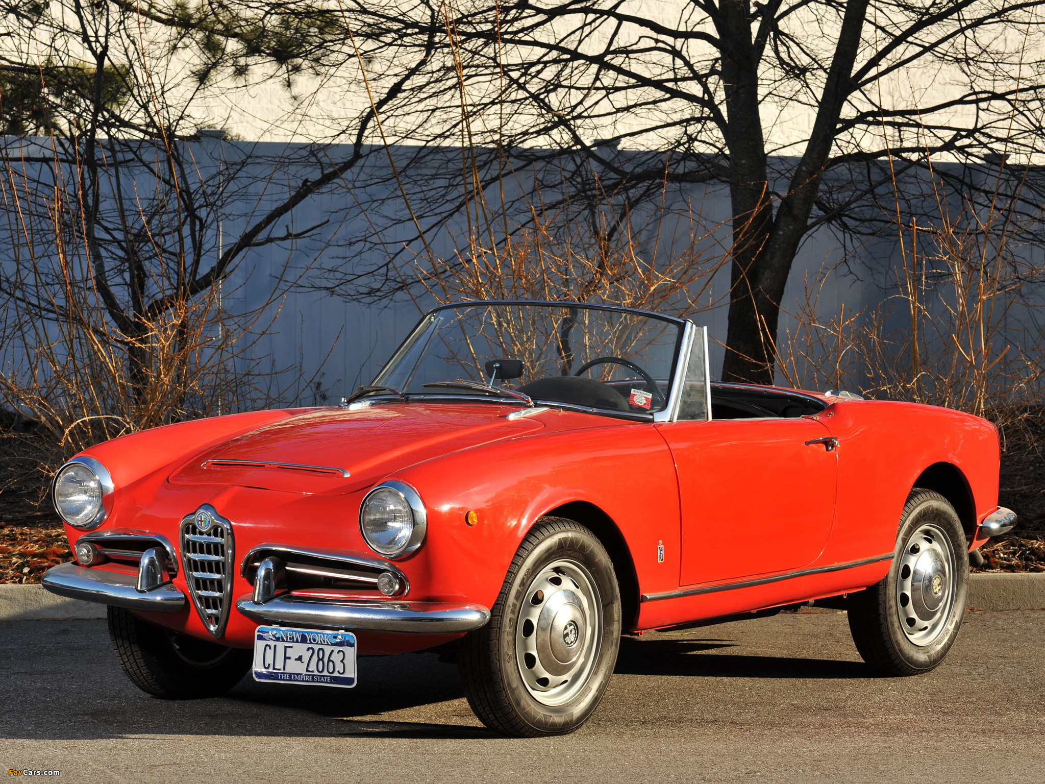 Alfa Romeo Giulia 1600 Spider 101 (1962–1965) wallpapers (2048 x 1536)