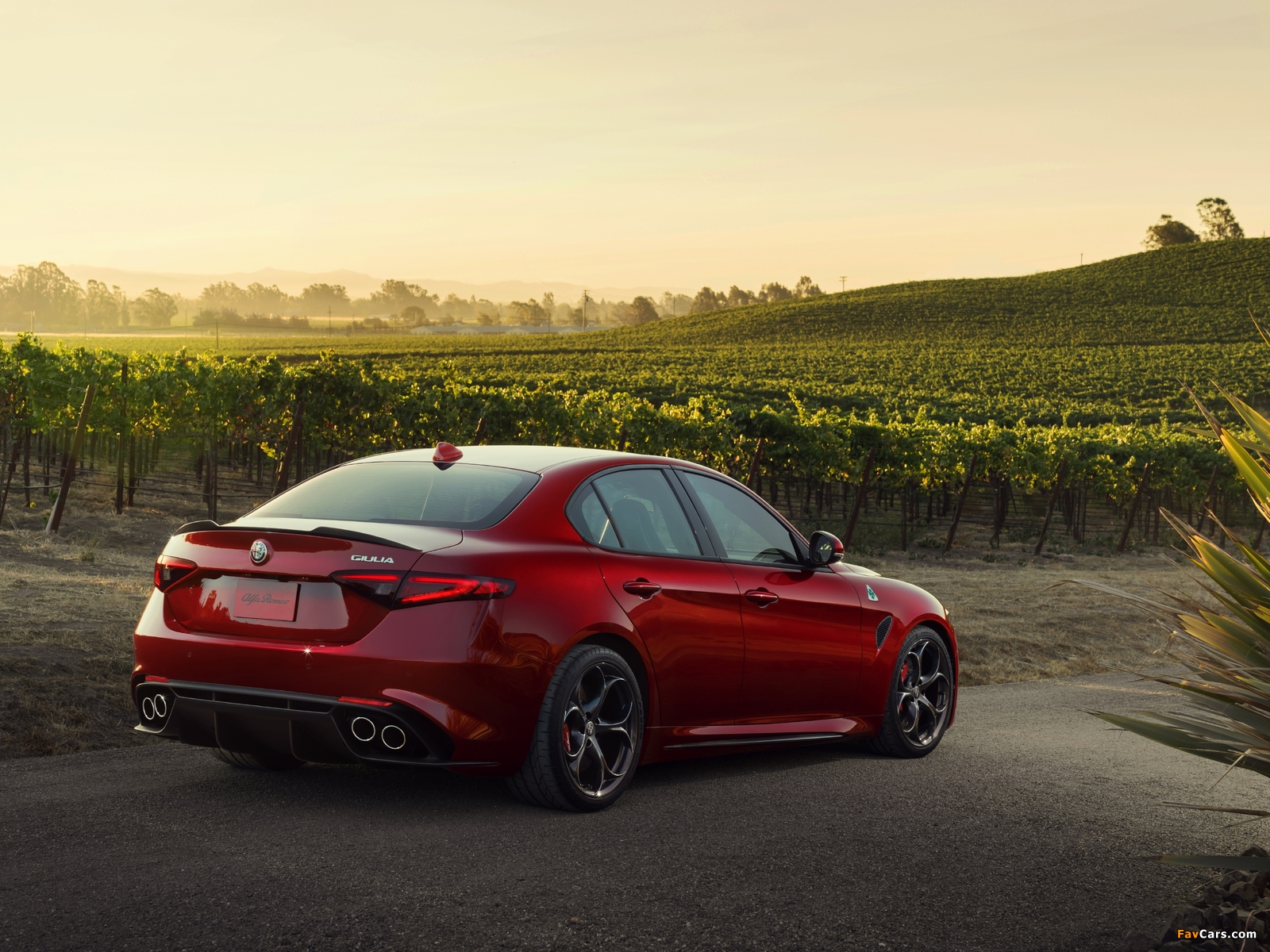 Alfa Romeo Giulia Quadrifoglio US-spec (952) 2016 images (1600 x 1200)