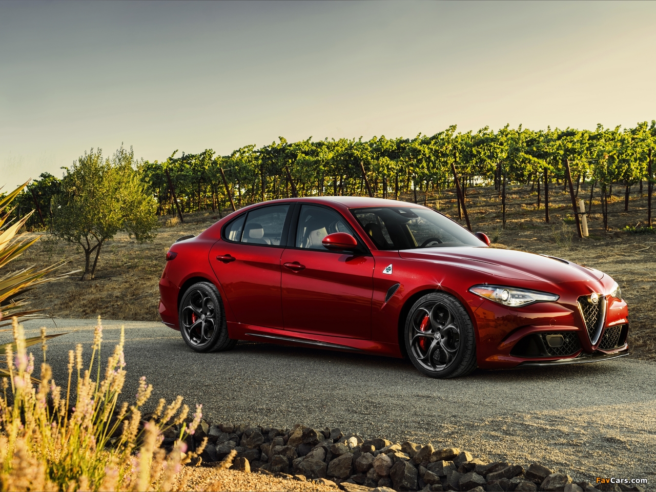 Alfa Romeo Giulia Quadrifoglio US-spec (952) 2016 photos (1280 x 960)