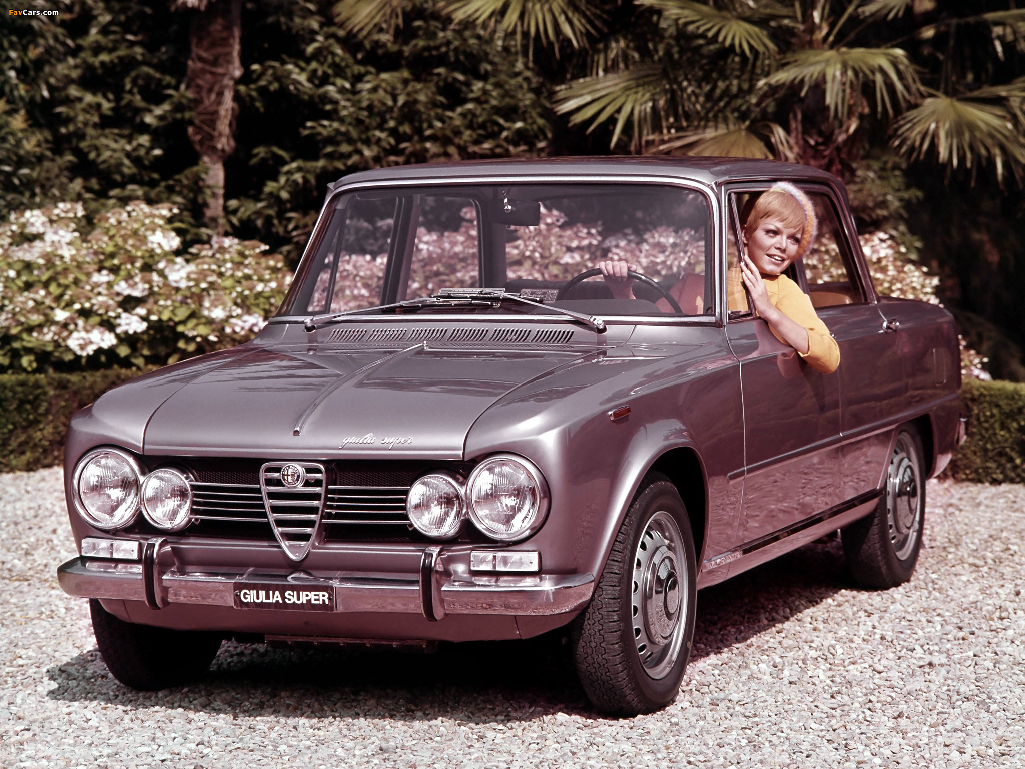 Photos of Alfa Romeo Giulia Super 105 (1967–1974) (2048 x 1536)