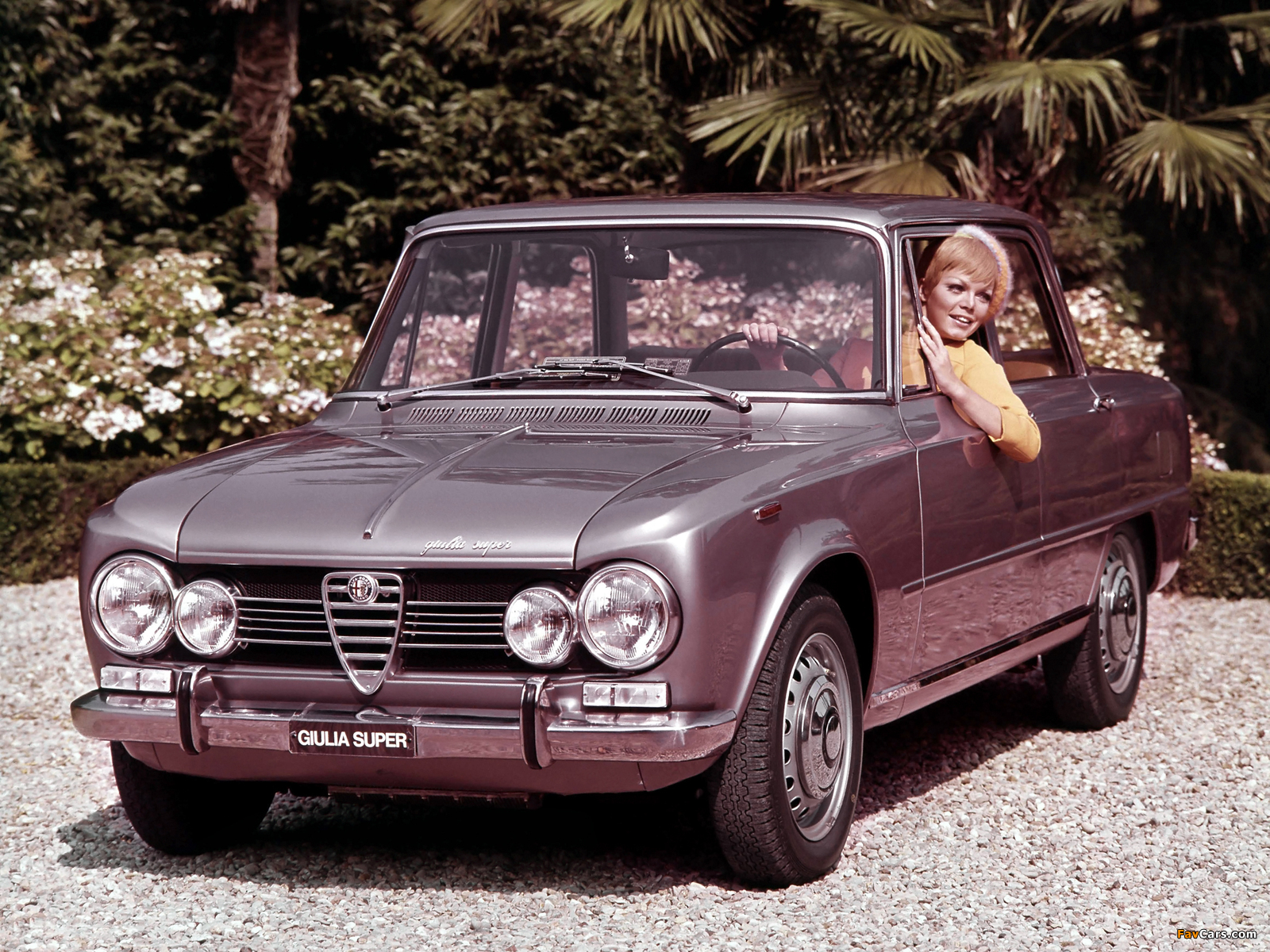 Photos of Alfa Romeo Giulia Super 105 (1967–1974) (1600 x 1200)