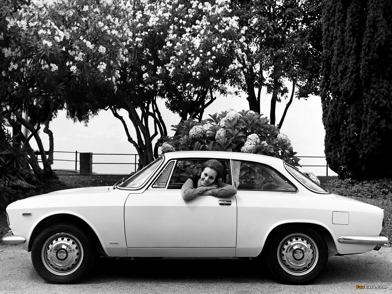 Pictures of Alfa Romeo Giulia Sprint GT 105 (1963–1966) (1280 x 960)