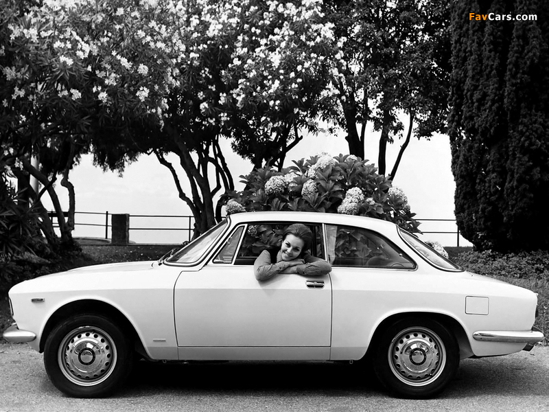 Pictures of Alfa Romeo Giulia Sprint GT 105 (1963–1966) (800 x 600)