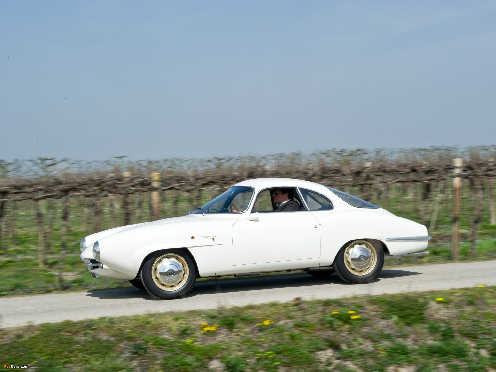 Photos of Alfa Romeo Giulietta Sprint Speciale 101 (1958–1960) (2048 x 1536)