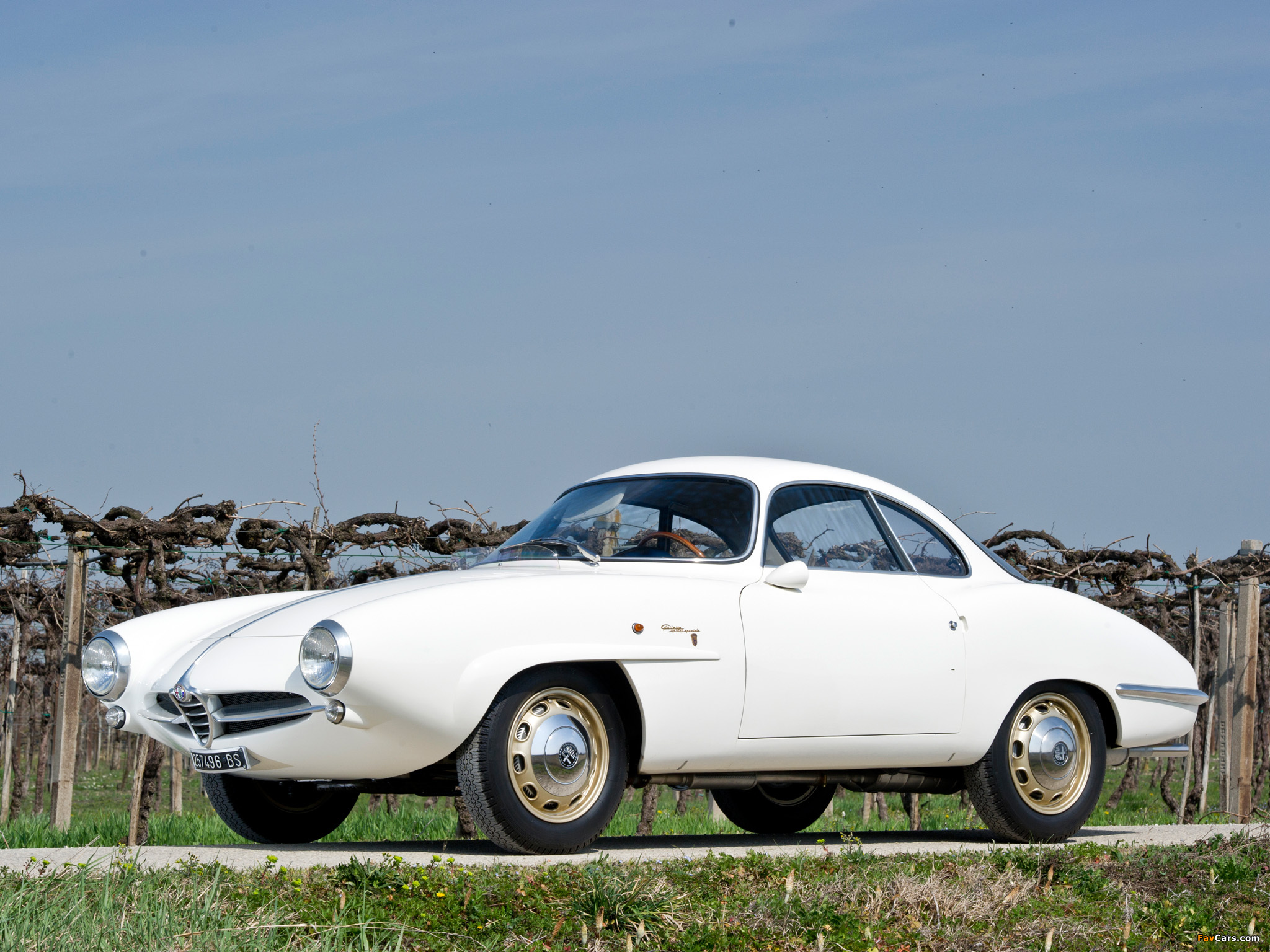Photos of Alfa Romeo Giulietta Sprint Speciale 101 (1958–1960) (2048 x 1536)
