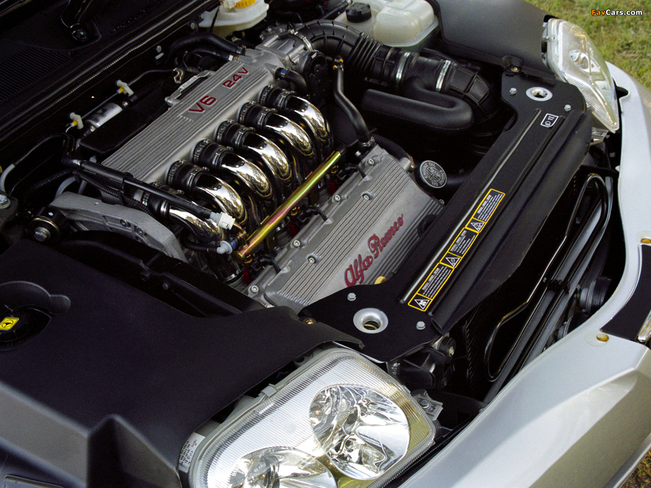 Pictures of Alfa Romeo GTV AU-spec 916 (2003–2005) (1280 x 960)