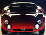 Alfa Romeo Tipo 33 Stradale Prototipo (1967) images
