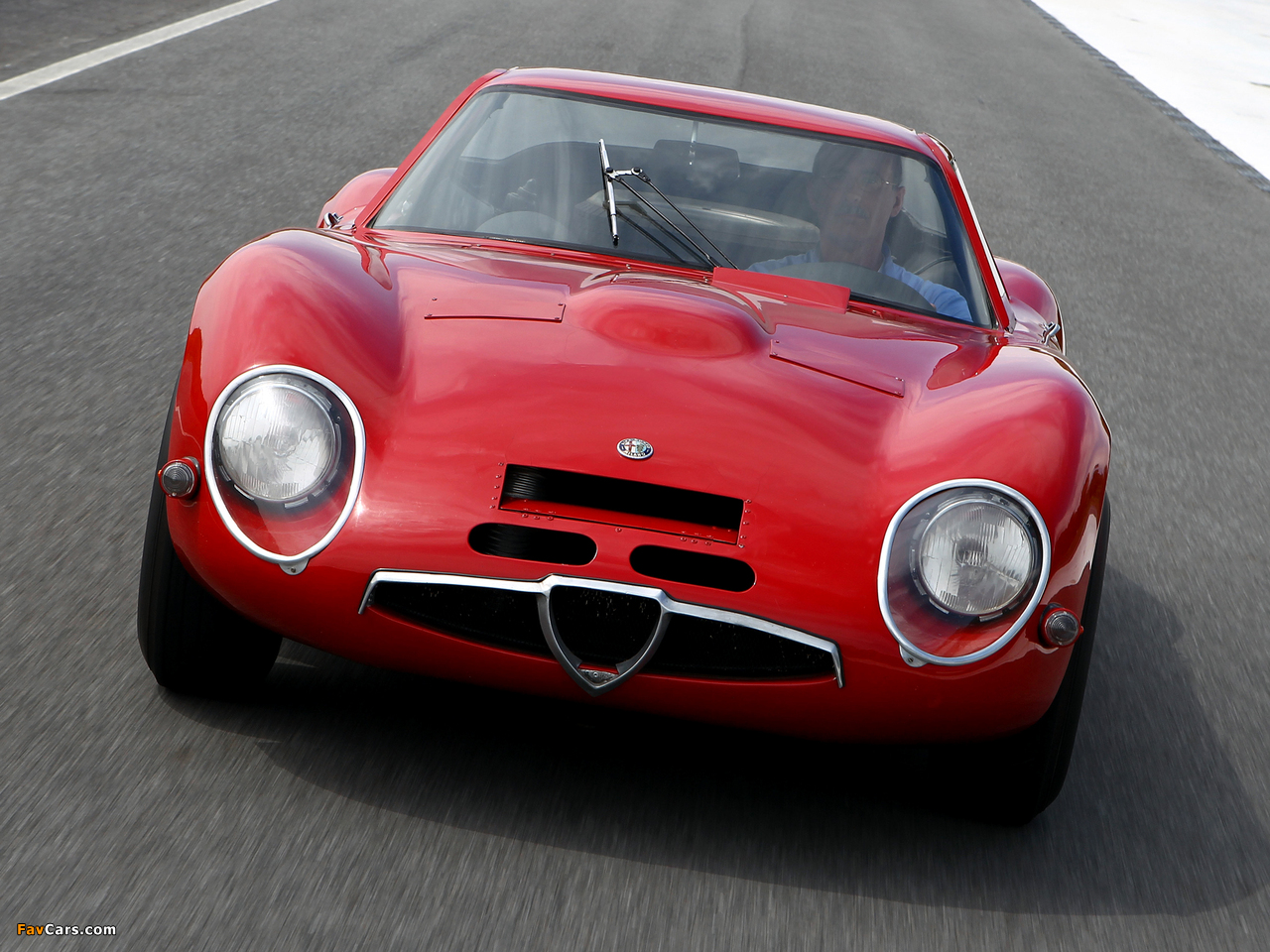 Alfa Romeo Giulia TZ2 105 (1965–1967) wallpapers (1280 x 960)