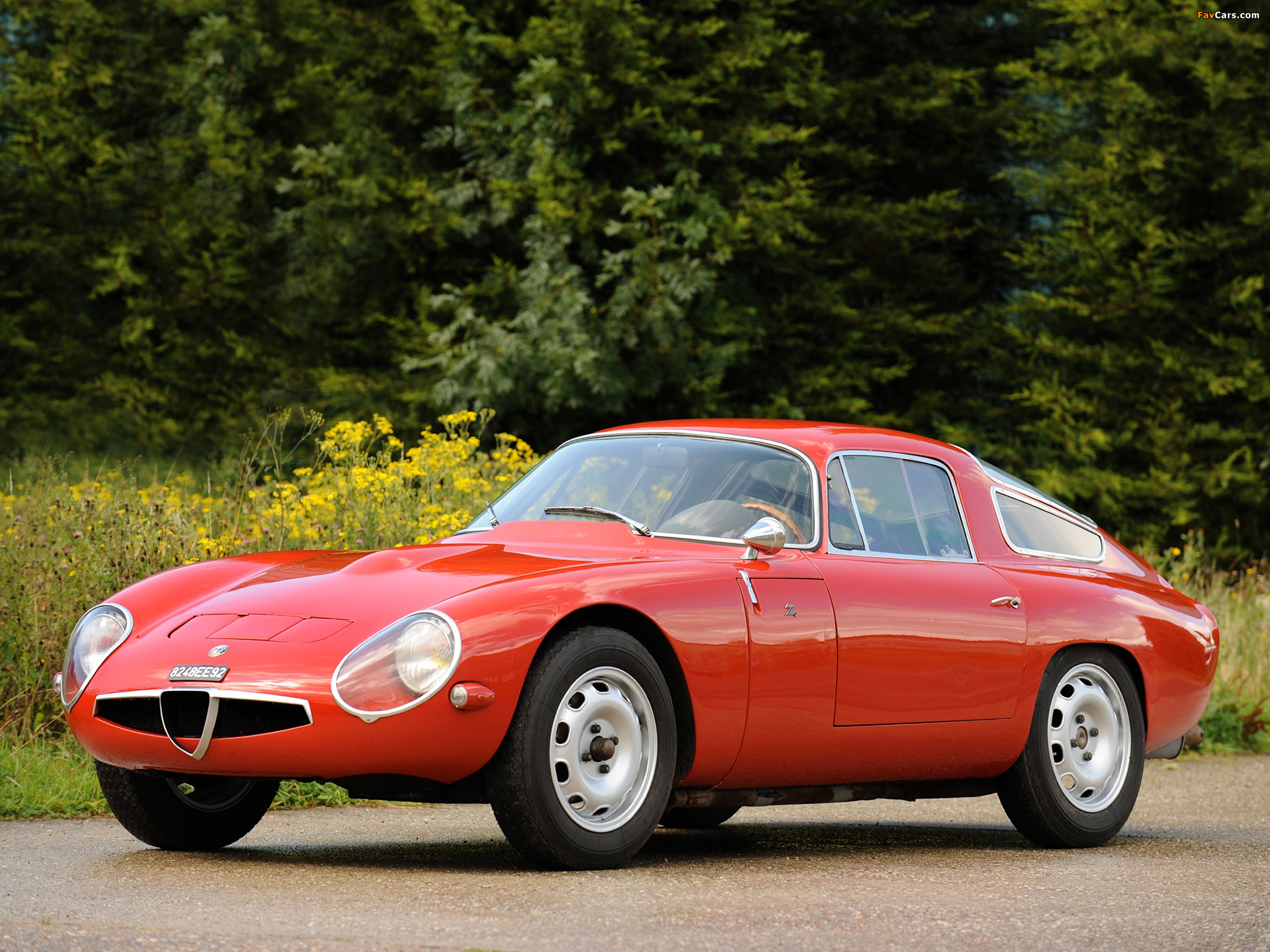 Photos of Alfa Romeo Giulia TZ 105 (1963–1967) (2048 x 1536)