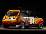 Renault 5 Alpine Rally Car (1977) images